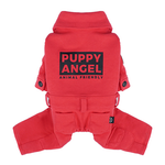 473 Спортивный костюм "Puppy Angel"