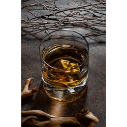 Набор стаканов для виски Genty Sleek, 240 мл, 2 шт.