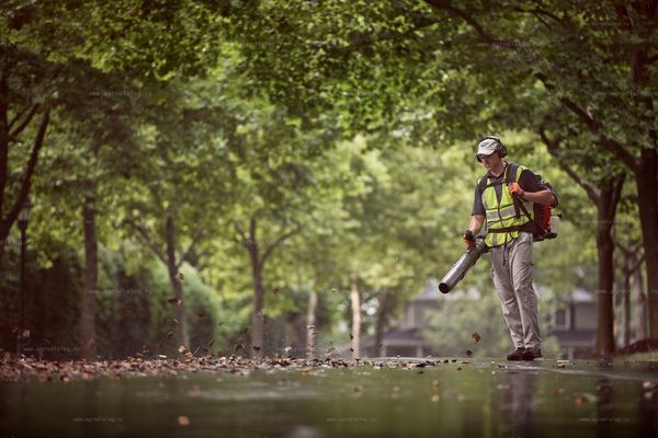 Для чего нужна воздуходувка на участке: 7 задач, которые она решает за минуты Для чего нужна воздуходувка на участке: 7 задач, которые она решает за минуты