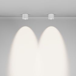 Светильник потолочный светодиодный Maytoni Lens C217CL-15W4K-W