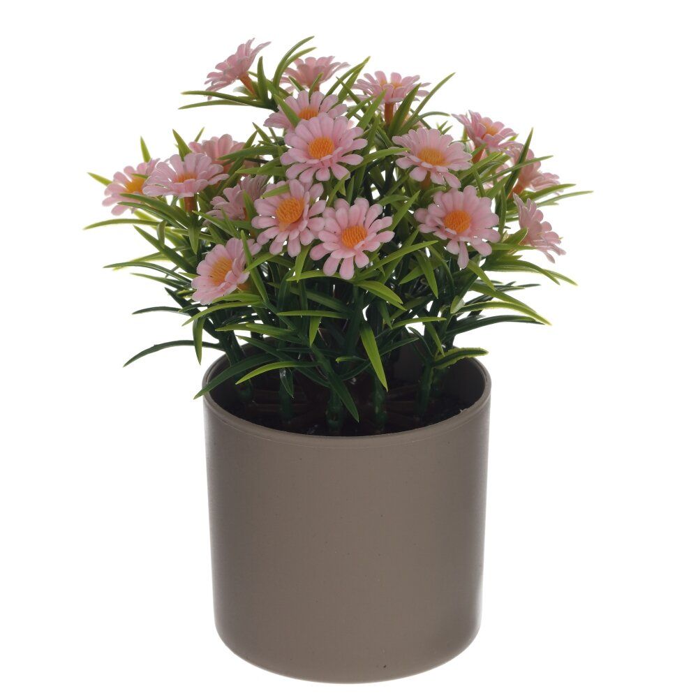 GAEM Цветочная композиция, L12 W8 H16 см