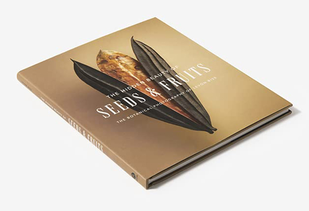 The Hidden Beauty of Seeds & Fruits: The Botanical Photography of Levon Biss