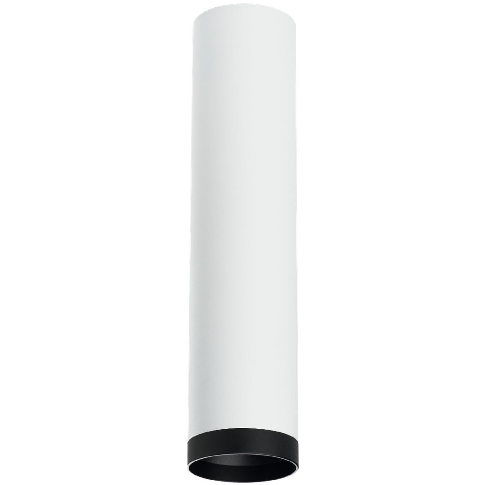 Накладной светильник Lightstar Rullo R4963437