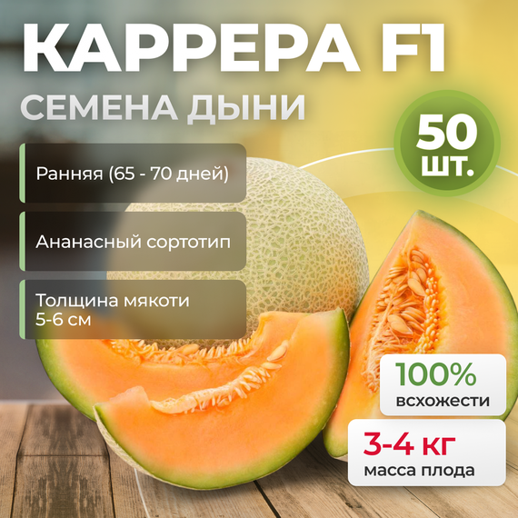 КАРРЕРА F1 семена дыни (Nunhems | Alexagro) – фото 9