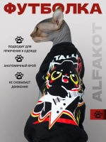 Одежда для кошек сфинкс