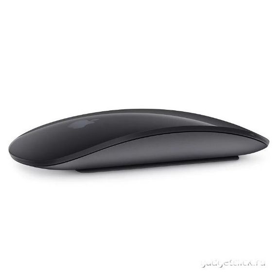 Мышь Apple Magic Mouse (Серый космос)