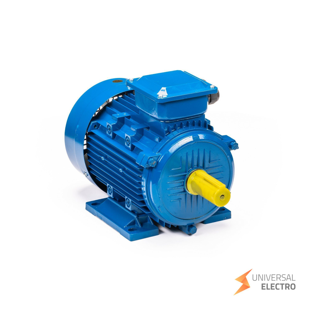 Электрический двигатель 5АИ 100 L2 5.5/3000 IM 1081