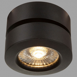 Накладной светильник Maytoni C023CL-L20B