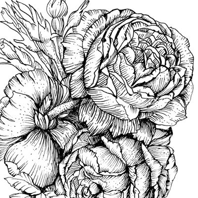 Розы графика