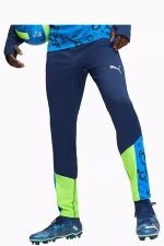 Штаны Puma individualCUP Training