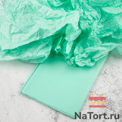 Бумага упаковочная тишью, Мятная 50х66 см (10 листов)
