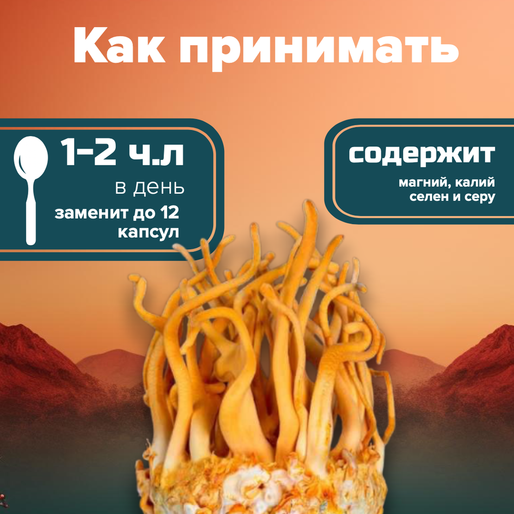 Кордицепс Военный 300 грамм (Суперфуд, Cordyceps militaris)