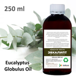 Эфирное масло эвкалипта / Eucalyptus Globulus Oil