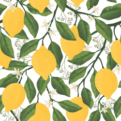 Коллекция Enjoy