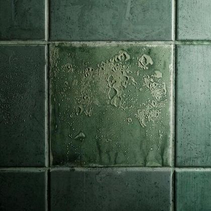 Антиплесень