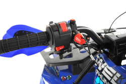 Квадроцикл Wels Thunder EVO 125 куб/см 10 л.с колеса 8" цвет синий
