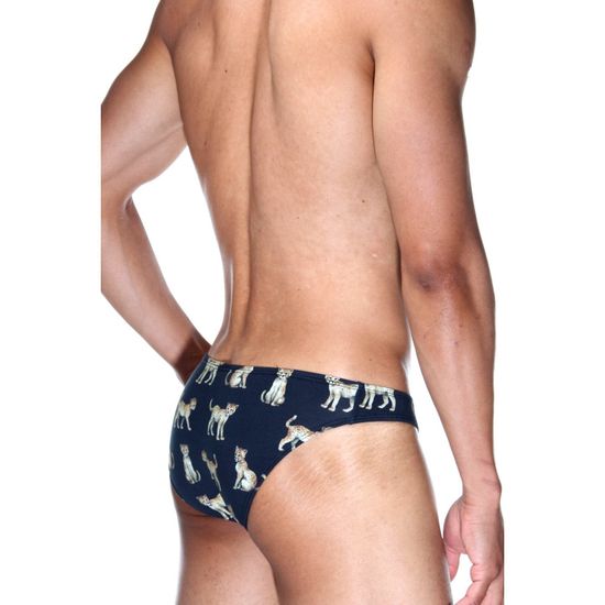 Мужские трусы слипы темно-синие с принтом DARKZONE DZN6486