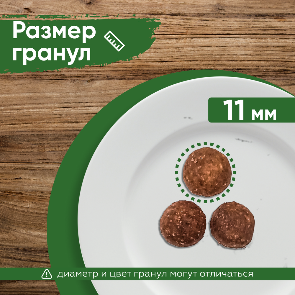 STATERA (Статера) Сухой корм для для взрослых собак всех пород с курицей