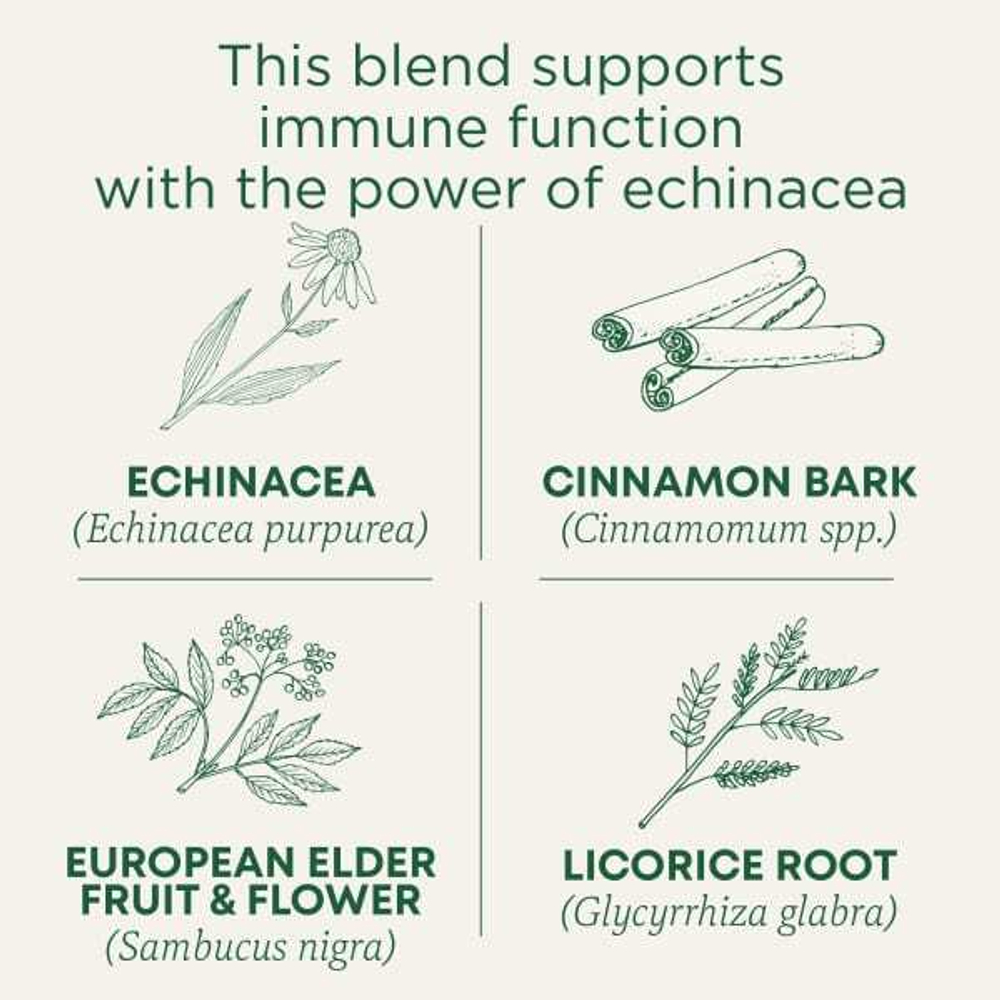 Traditional Medicinals, Organic Immune Zoom, Elderberry Echinacea, Caffeine Free, 16 Wrapped Tea Bags, 0.99 oz (28 g)