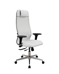 SynchroSit 10 B1-115D - X2+Extra /Um00/Wm12/D02P(M18.B22.G18.W02)