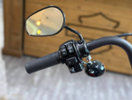Harley-Davidson Street Bob 114, 2023 (С НДС)