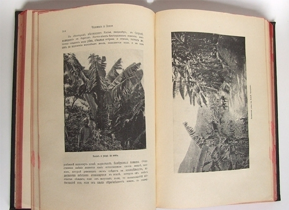"Человек и Земля". Элизе Реклю. 1909 г.
