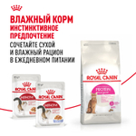 Royal Canin Protein Exigent Протеин Экзиджент Корм сухой для взрослых кошек привередливых к белку в составе старше 1 года 400г