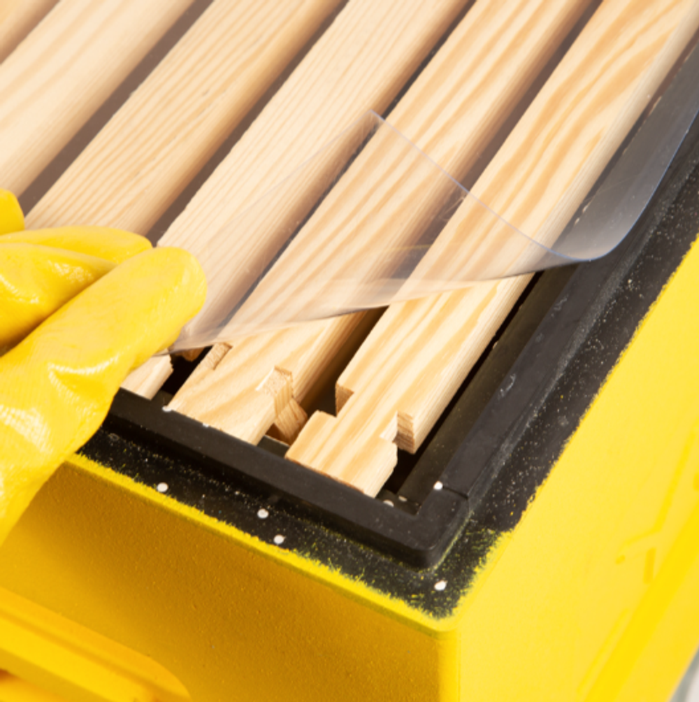 Потолочина панорама из прозрачного гибкого пластика на 12 рамочный улей (положок холстик)