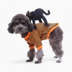 Толстовка «Black Cat»