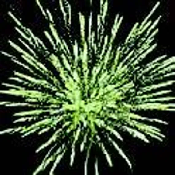 Китеж-град (1,2"х 49) МОДУЛЬ РС8410