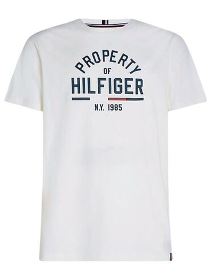 Теннисная футболка Tommy Hilfiger Graphic SS Tee - ancient white