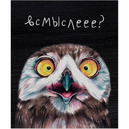 НОВИНКА! Тетрадь общая 48 листов на скрепке "Эмоциональные совы"