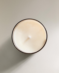 Zara Home - Ароматическая свеча forest mate, 250 г