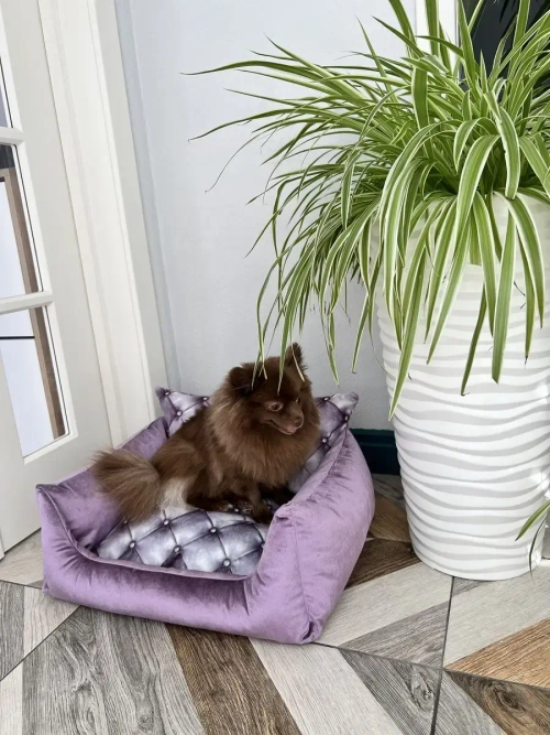 Лежанка для собак и кошек 60*45 домик для кошки