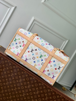 Louis Vuitton Dog Bag
