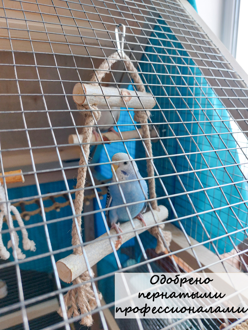 Качели для птиц джутовые