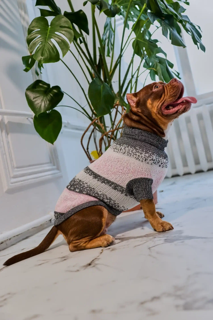 Для собачки