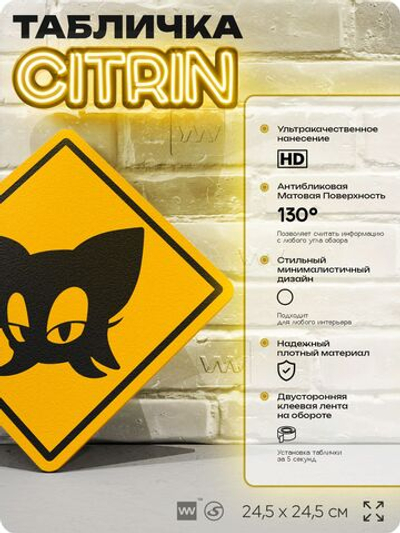Табличка декоративная "Летучая мышь Руж" на дверь и стену, прикольная штука в подарок в комнату, декоративный знак, 24,5х24,5 см, пластиковая, Айдентика Технолоджи