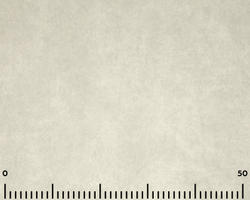 Велюр Beverly bone (Беверли бон)