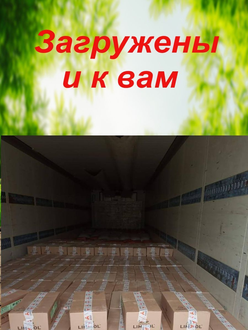 Соль для животных Лизунец антигельминтный Лимисол Ф