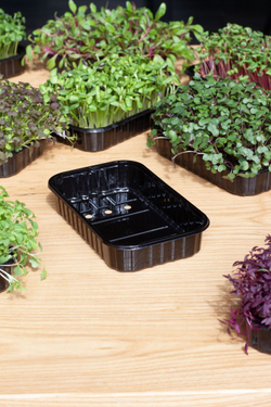 Лотки для выращивания черного цвета 20 штук, 175*100*40 (дно 165*95), пластиковые контейнеры, лотки для выращивания микрозелени, контейнеры для проращивания рассады, вес 10гр