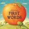 Alison Jay&#39;s First Words