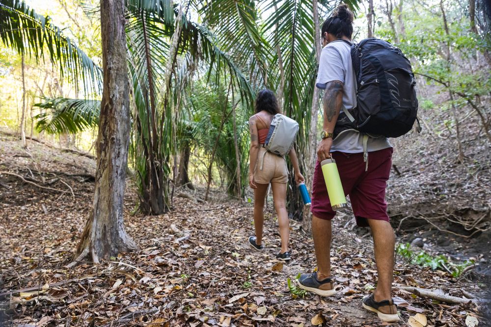 Термокружка Klean Kanteen TKWide Twist Cap 20oz (592 мл) Shadow Lime