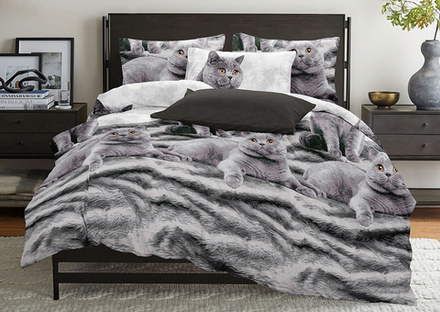 Комплект постельного белья Дуэт БЯЗЬ "Британцы" (нав. 50х70 или 70х70)