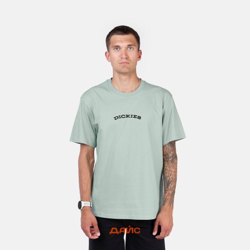 Футболка мужская Dickies Outdoor артикул:DK0A4Z8PK361 - купить в магазине Дайс