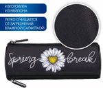 Пенал BRAUBERG, 3 отделения, нейлон, 21х7х7 см, "Spring", 270840