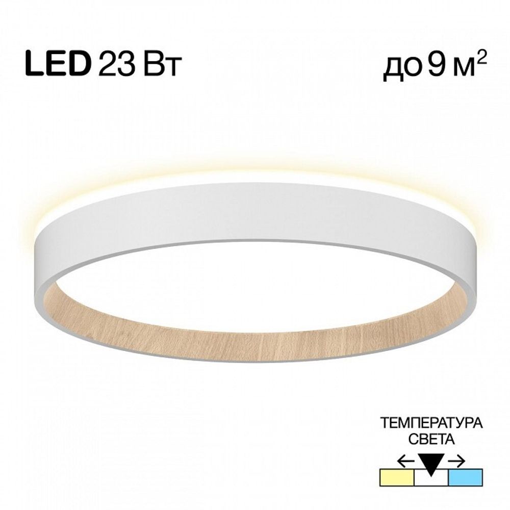 Накладной светильник Citilux Etalon CL750240