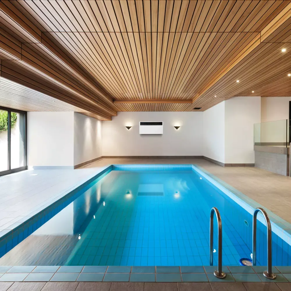 Осушитель воздуха TROTEC DS 60 для бассейнов - [до 90 л. за сутки / для S≈50 м²]