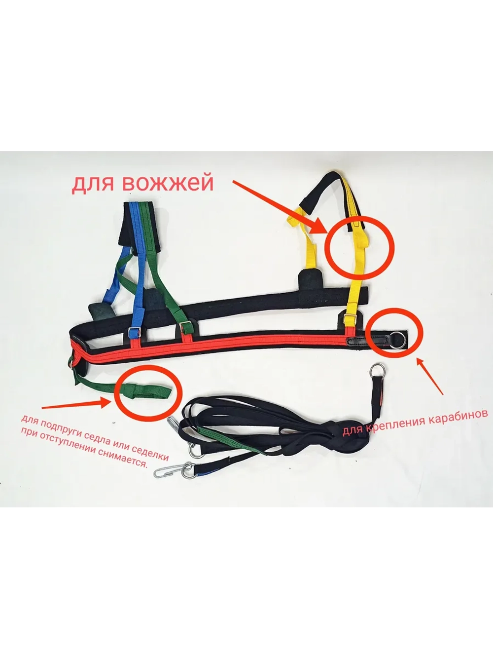 Шлейка для катания для пони и ослика