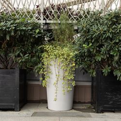 Кашпо BALCONY SHALE 80 х 20 х 20